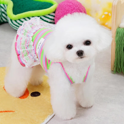 Striped Summer Dog Dress with Lace Skirt