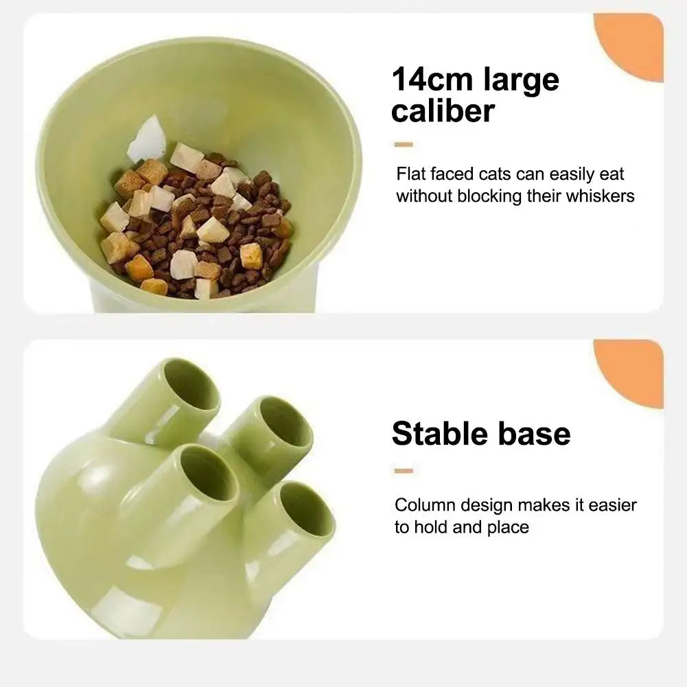 Elevated Tilted Pet Feeding Bowl