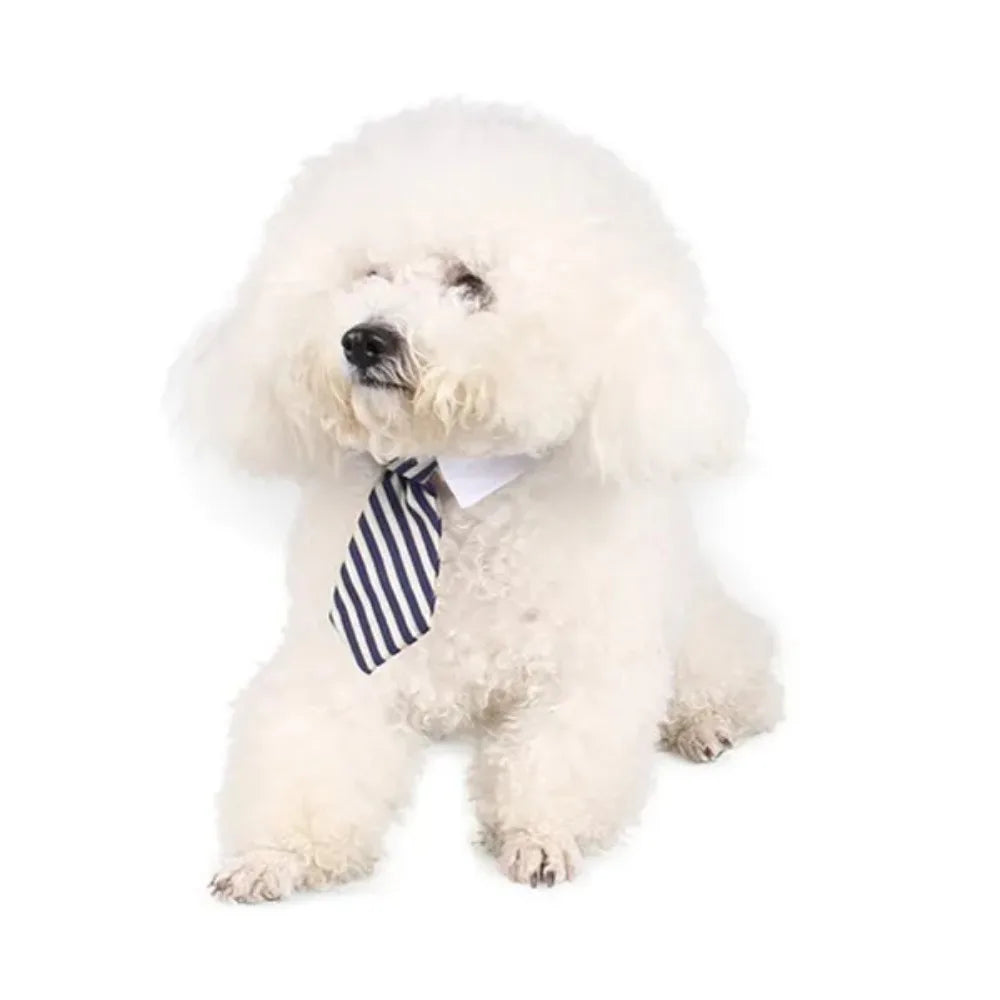 Adjustable Pet Necktie Collar