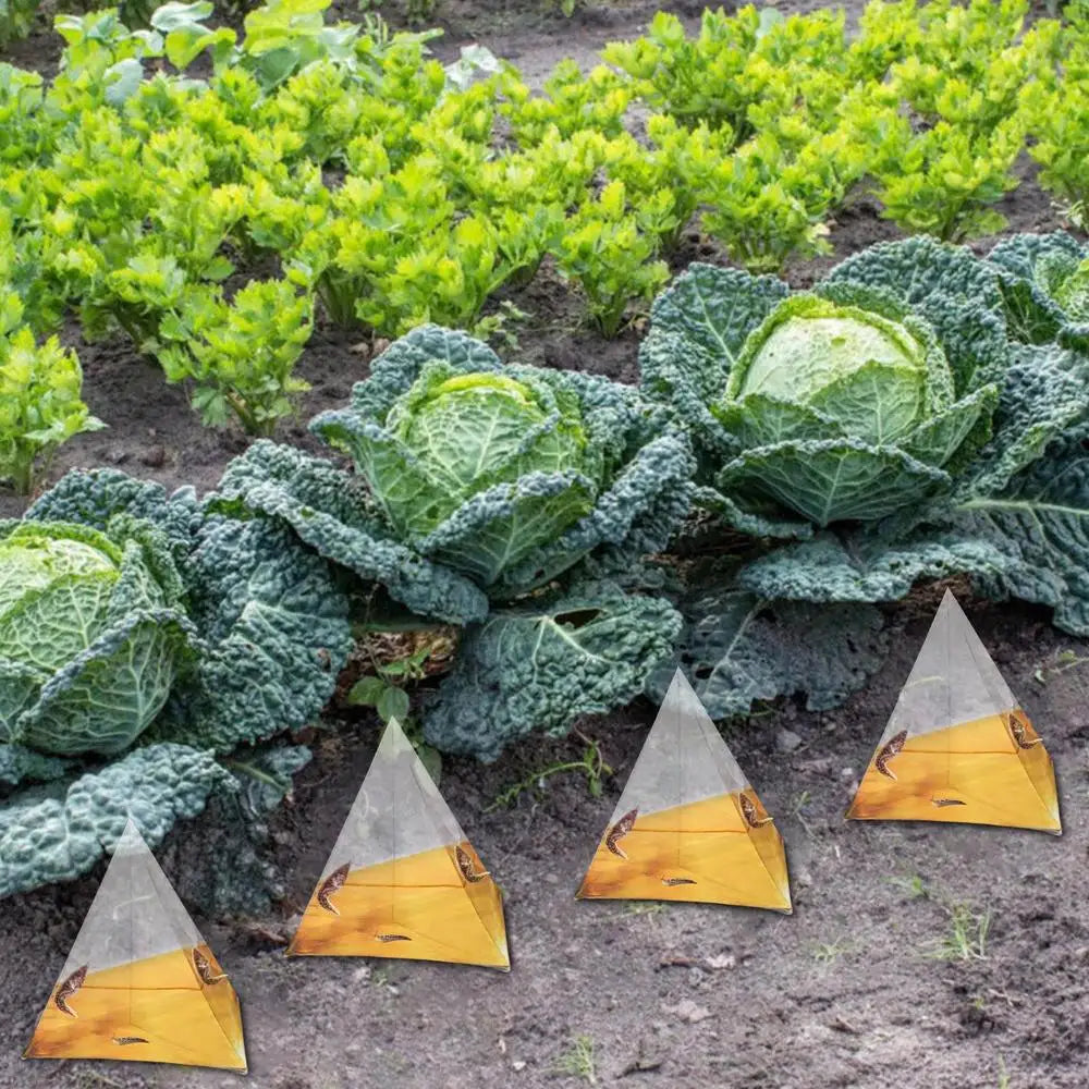 Reusable Slug Beer Traps