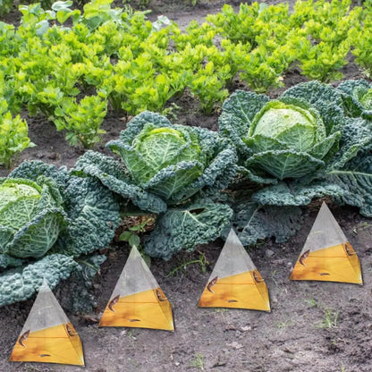Reusable Slug Beer Traps