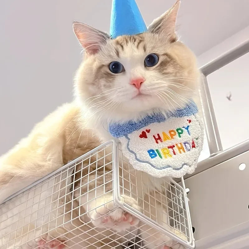 Pet Birthday Hat & Bandana Set for Dogs & Cats