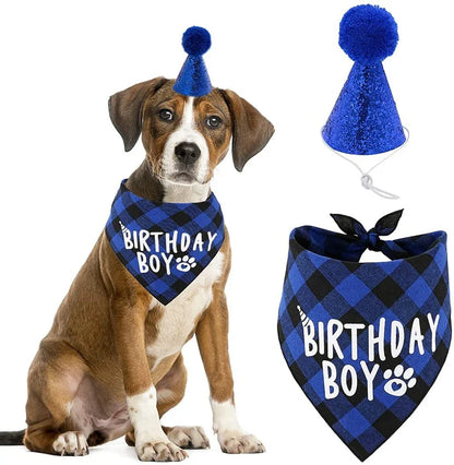 Dog Birthday Party Hat & Bandana Set