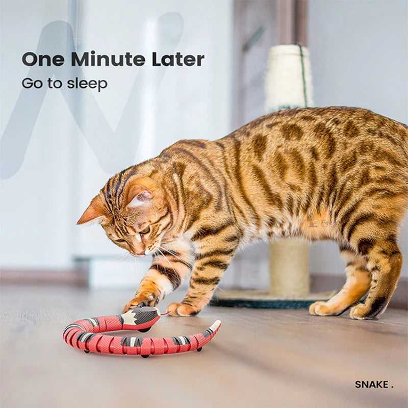 Interactive USB Rechargeable Smart Snake Cat Toy