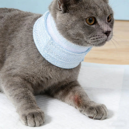 Cat Neck Recovery Brace Collar