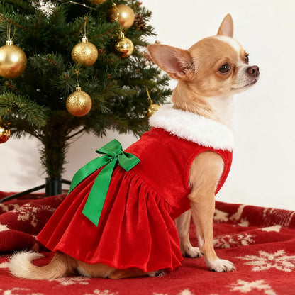 Christmas Dog Dress for Small Dogs & Cats