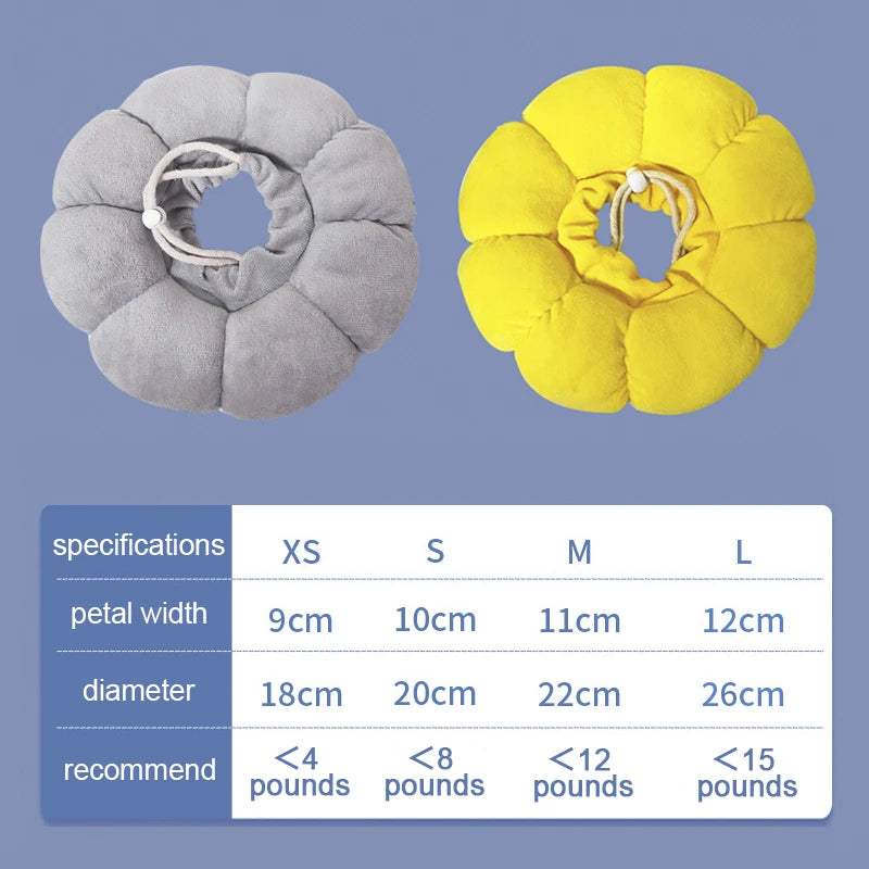 Sunflower Recovery Collar for Cats & Small Dogs