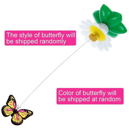 Interactive Rotating Butterfly Cat Toy
