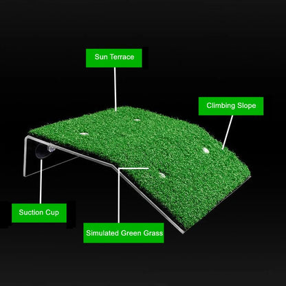 Turtle Basking Platform Ramp