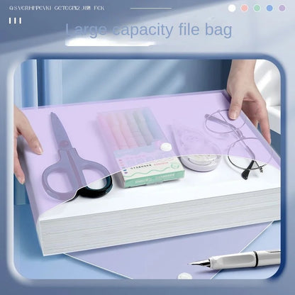 Clear A4 Document Folder with Snap Button