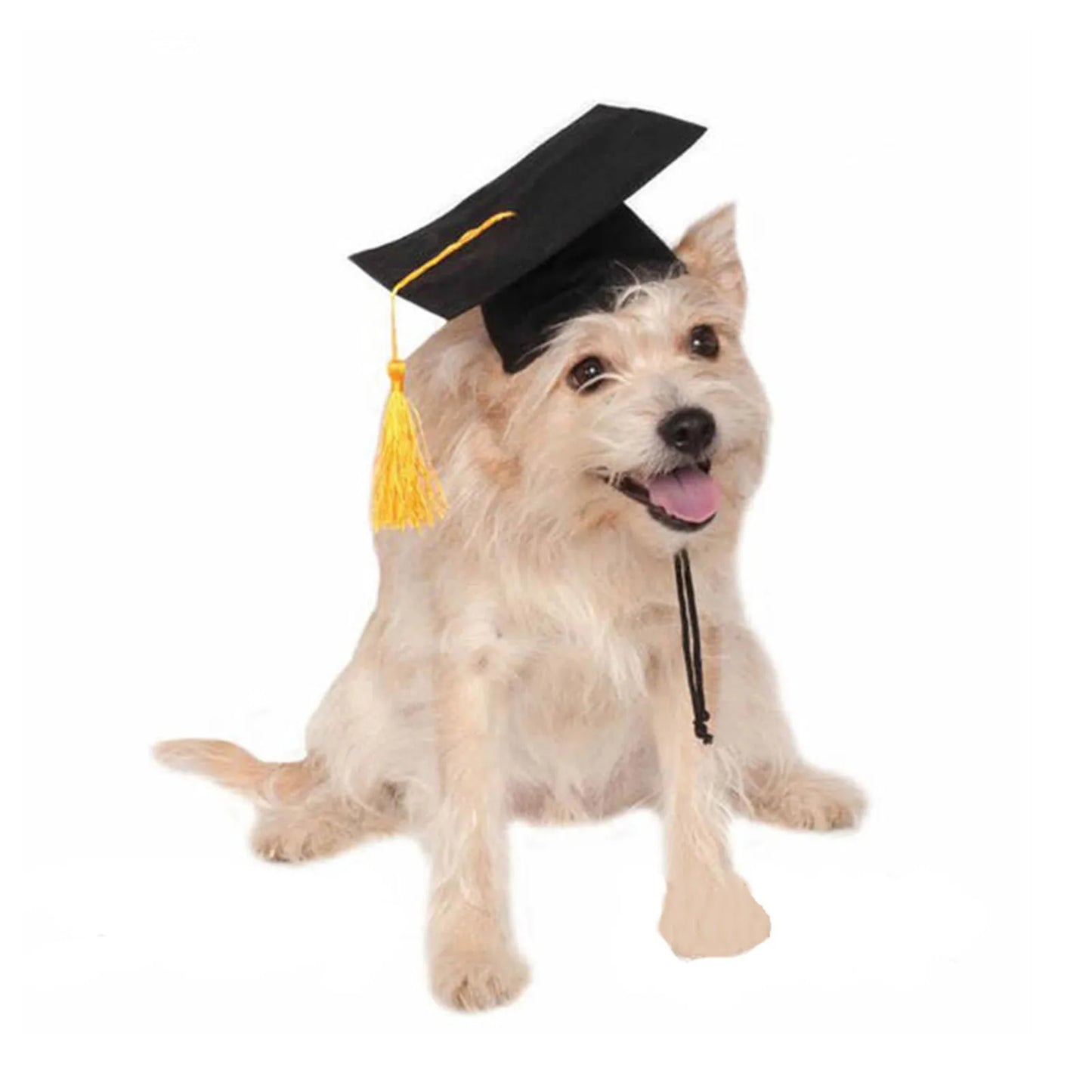 Pet Graduation Cap with Tassel