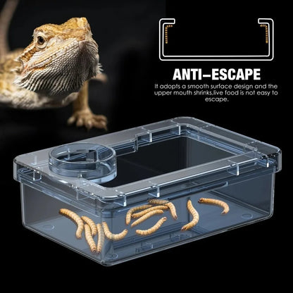 Anti-Escape Reptile Feeding Bowl