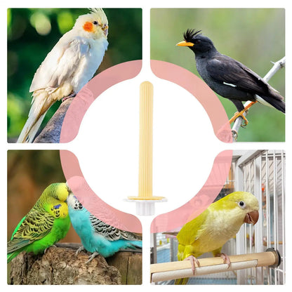 USB Heated Bird Perch Warmer for Parrots & Small Birds