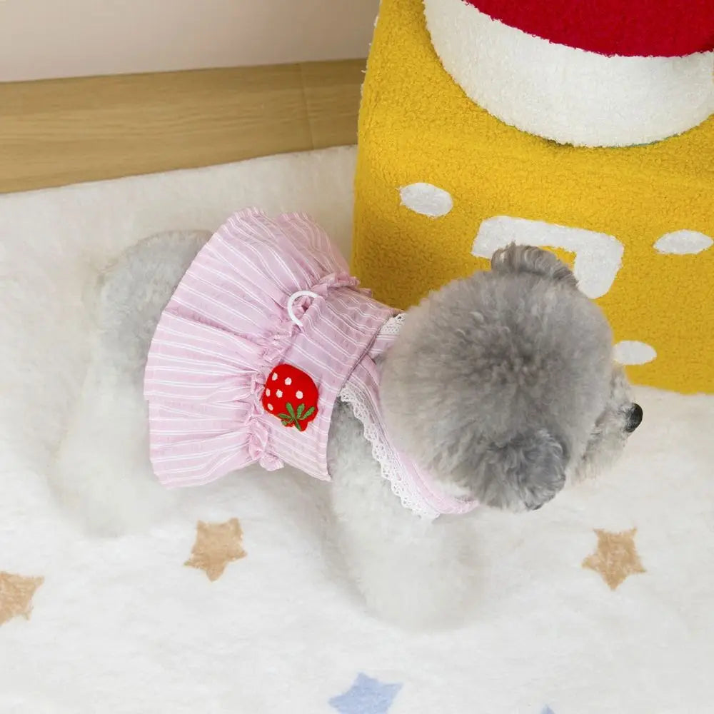 Cute Summer Dress for Dogs & Cats