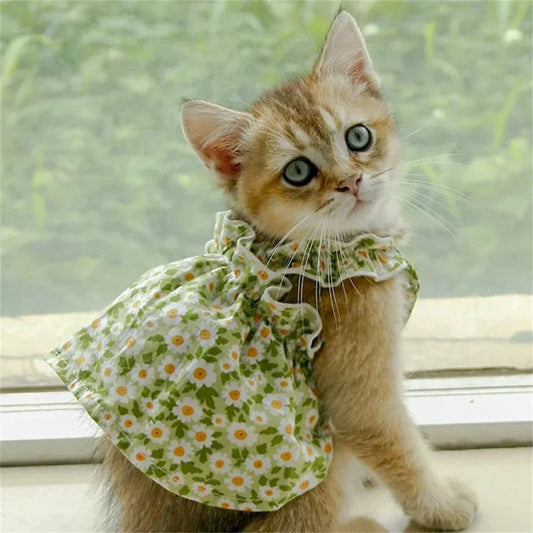 Floral Summer Princess Dress for Cats