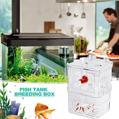 Acrylic Fish Breeding & Isolation Box for Aquariums