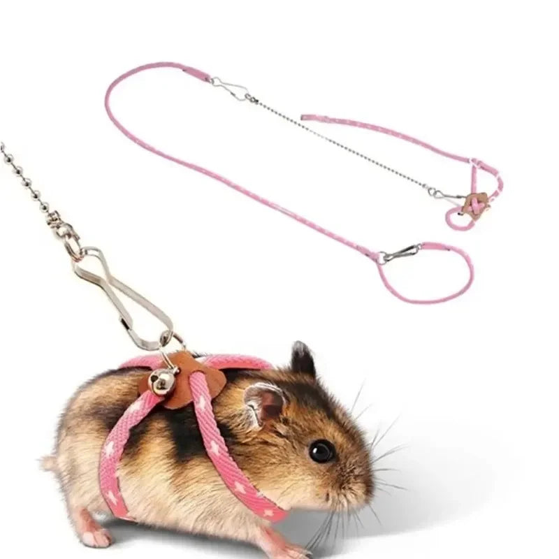 Adjustable Small Pet Harness & Leash Set