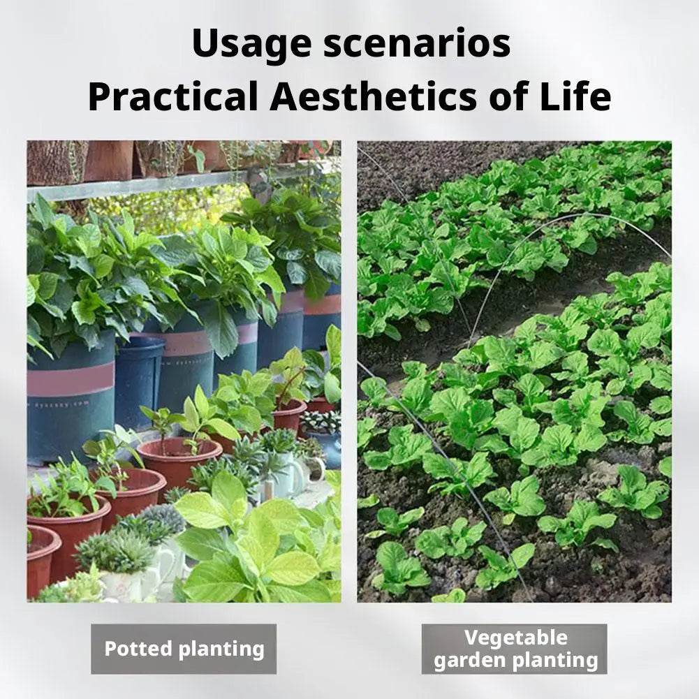 Precision Syringe Seed Seeder