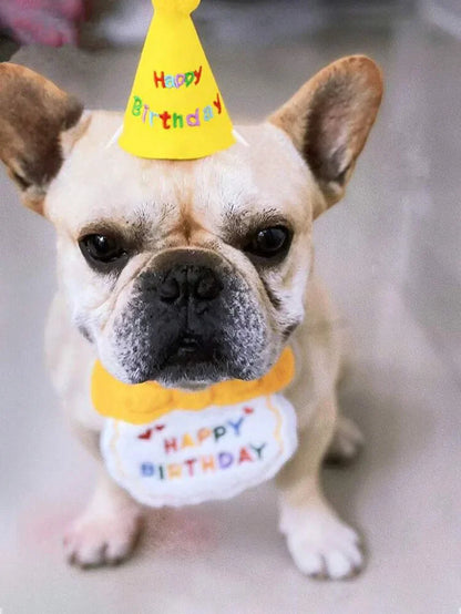 Pet Birthday Bandana & Party Hat Set