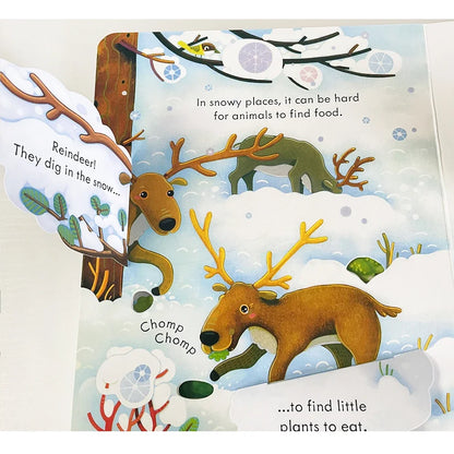 Usborne Peep Inside Snowy Places Children’s Picture Book