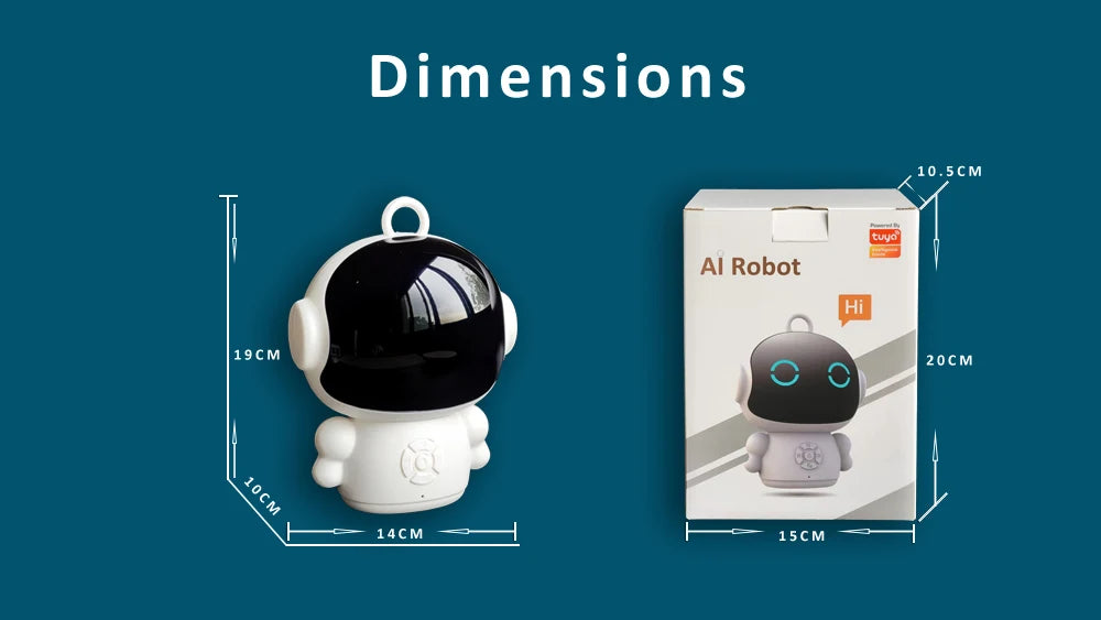 AI Educational Companion Robot