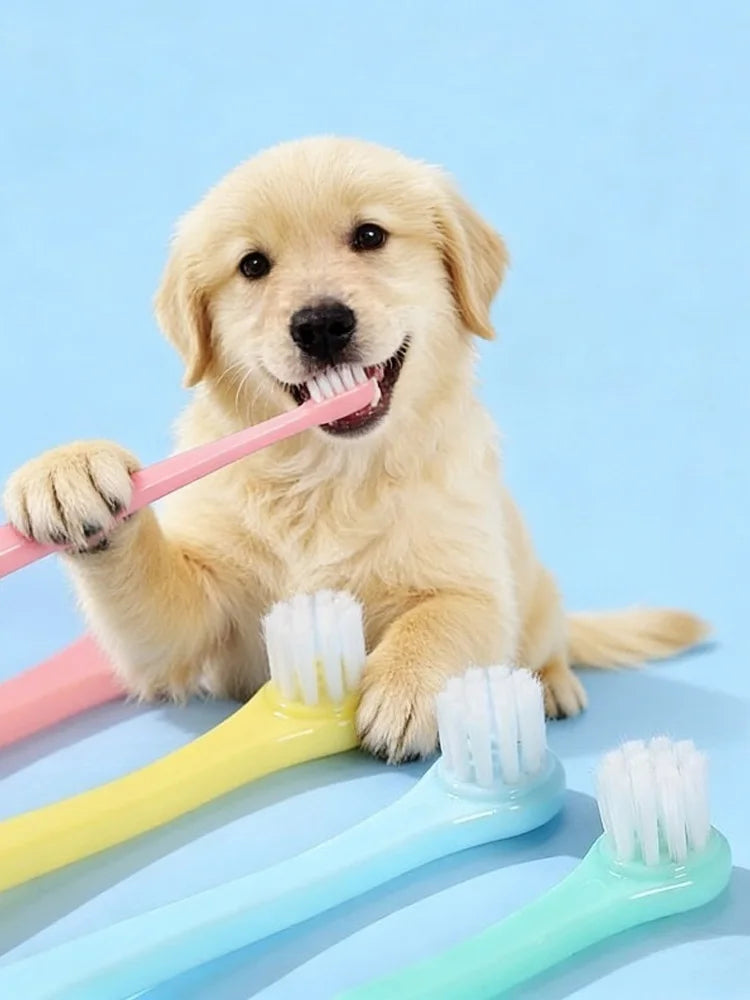 Pet Micro Head Toothbrush for Dogs & Cats
