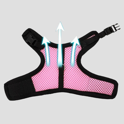 Breathable Small Pet Harness & Leash Set