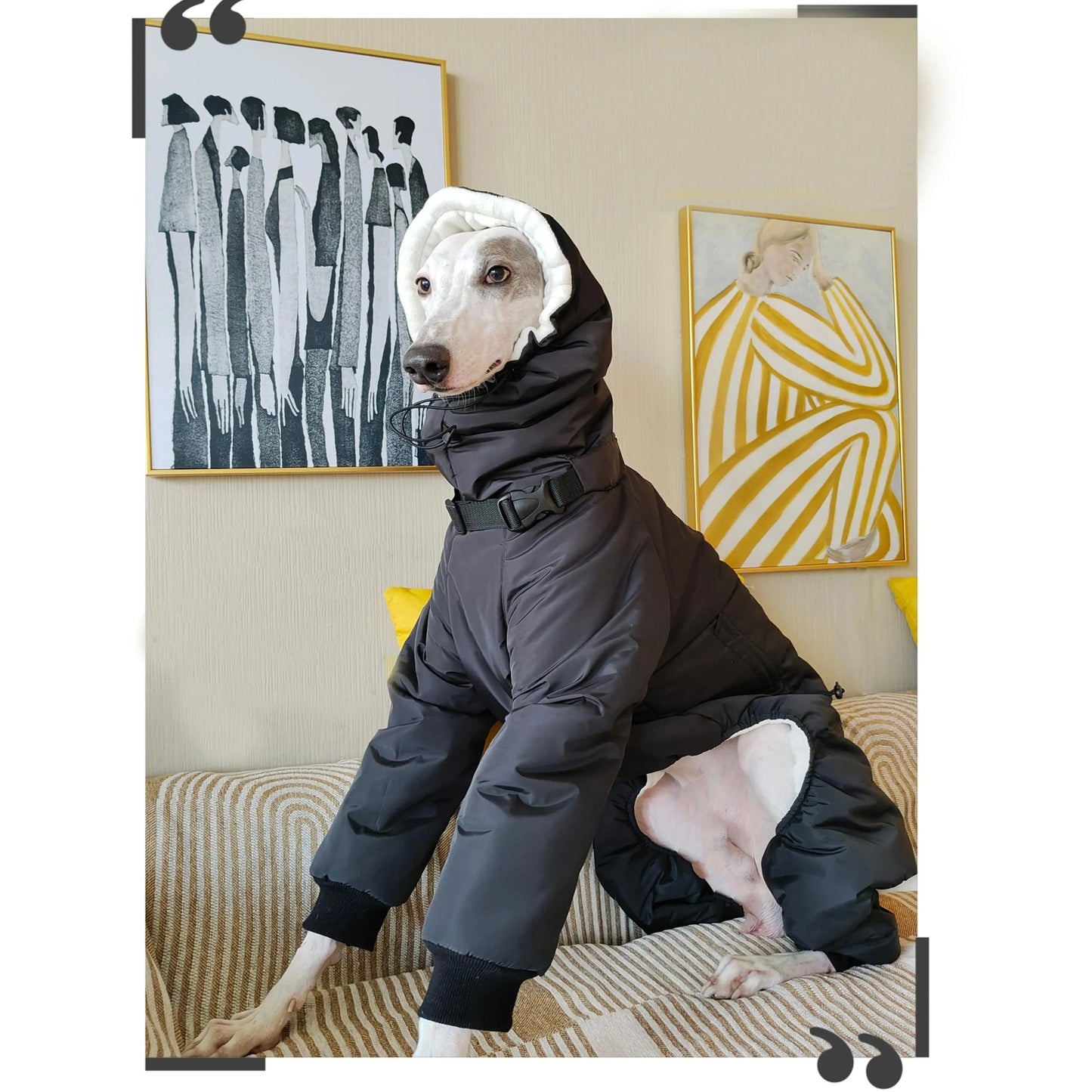 Winter Quilted Dog Jacket