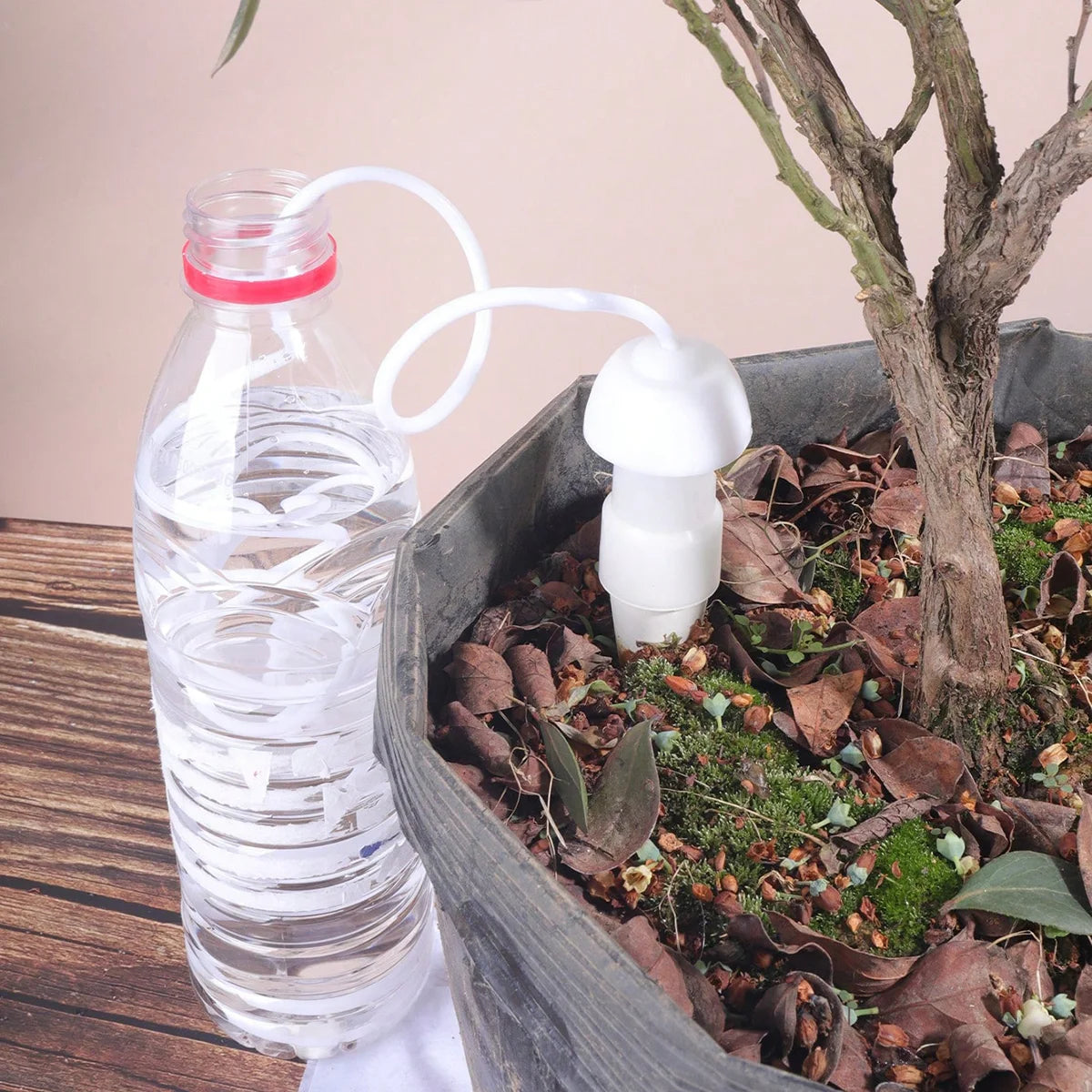Ceramic Watering Spikes Set