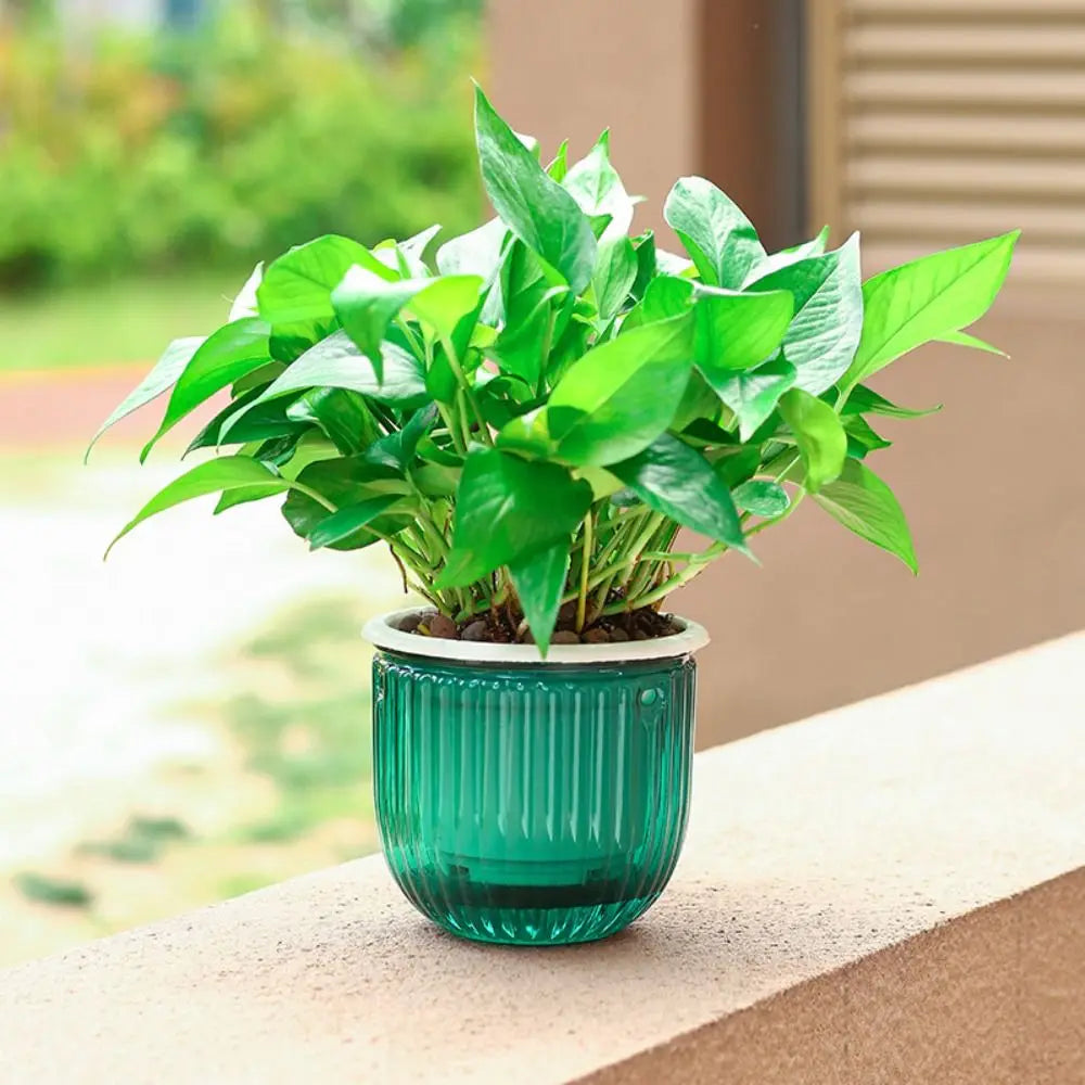 Self-Watering Hanging Planter Pot