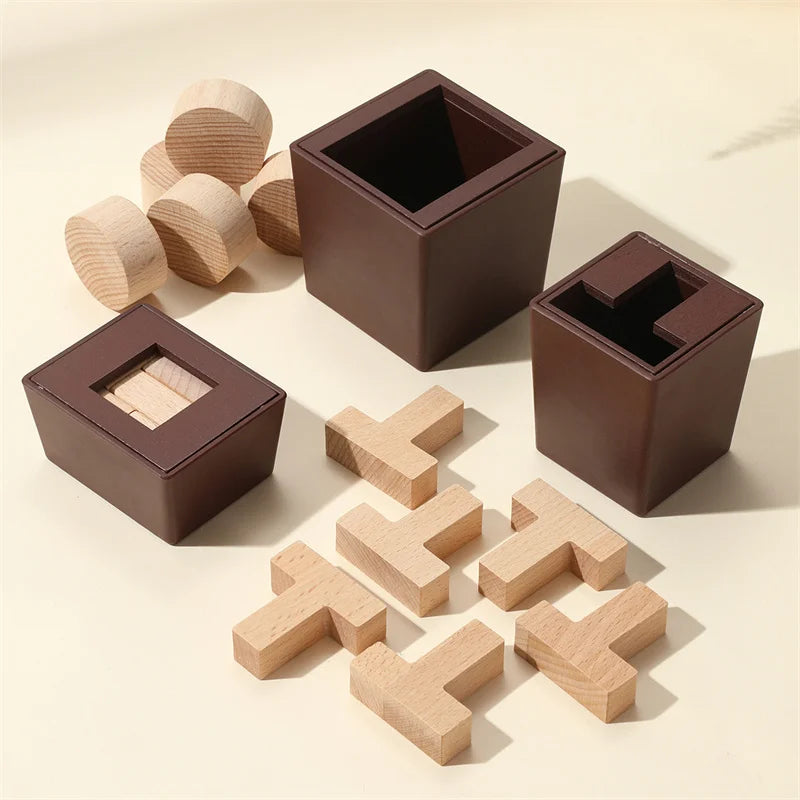 T-Shaped Wooden IQ Puzzle Game