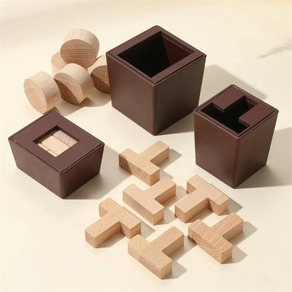 T-Shaped Wooden IQ Puzzle Game
