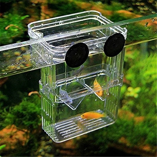 Aquarium Fish Breeding Isolation Box