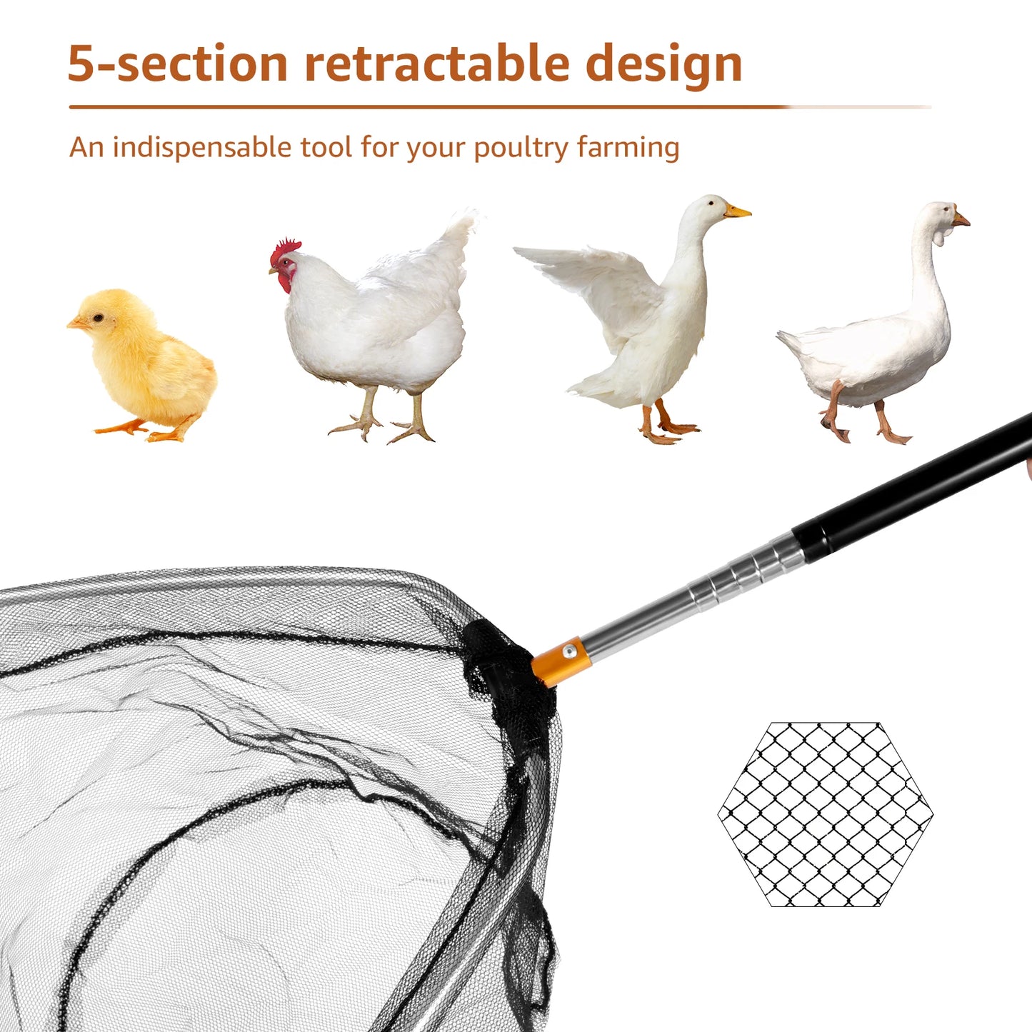 Retractable Chicken Catcher Set – Poultry Leg Hook & Net