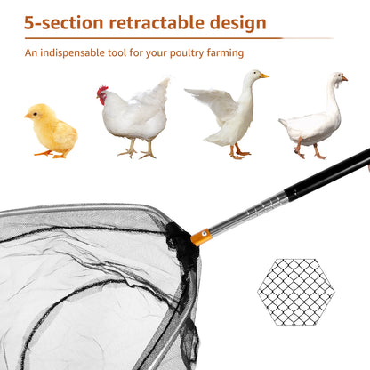 Retractable Chicken Catcher Set – Poultry Leg Hook & Net