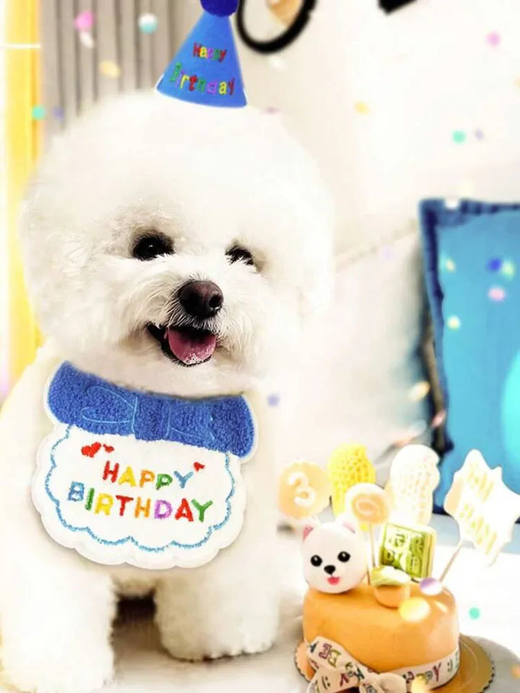 Pet Birthday Bandana & Party Hat Set