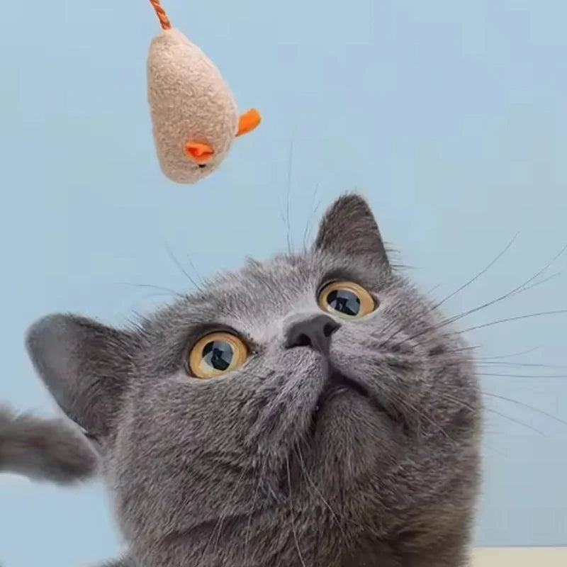 Plush Mouse Cat Toy Set