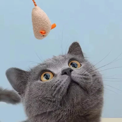 Plush Mouse Cat Toy Set
