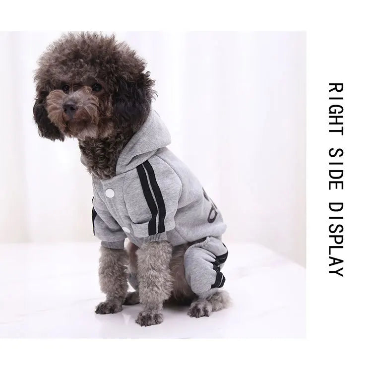 Sport Hoodie Dog Jumpsuit