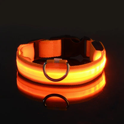 LED Flashing Dog Collar