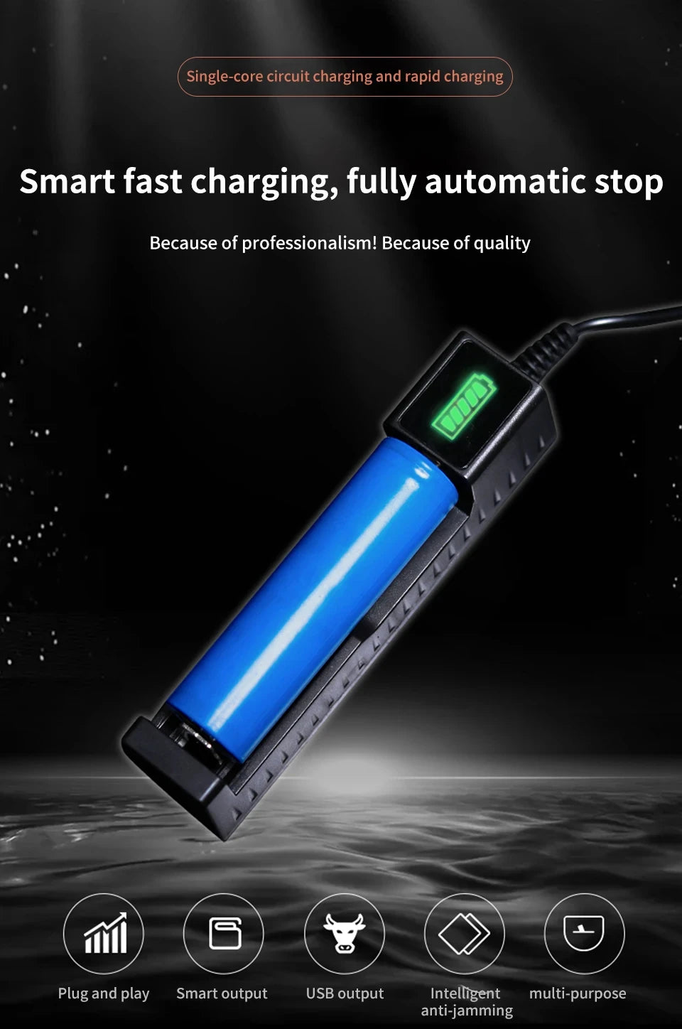 USB Charger for Rechargeable Lithium-Ion Batteries