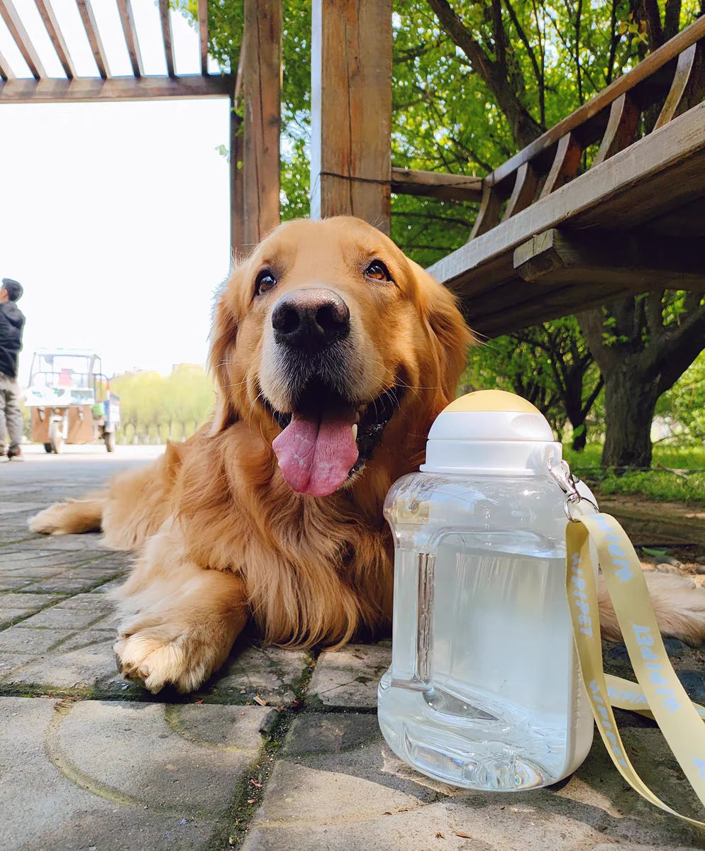 2-in-1 Portable Dog Water Bottle & Food Container