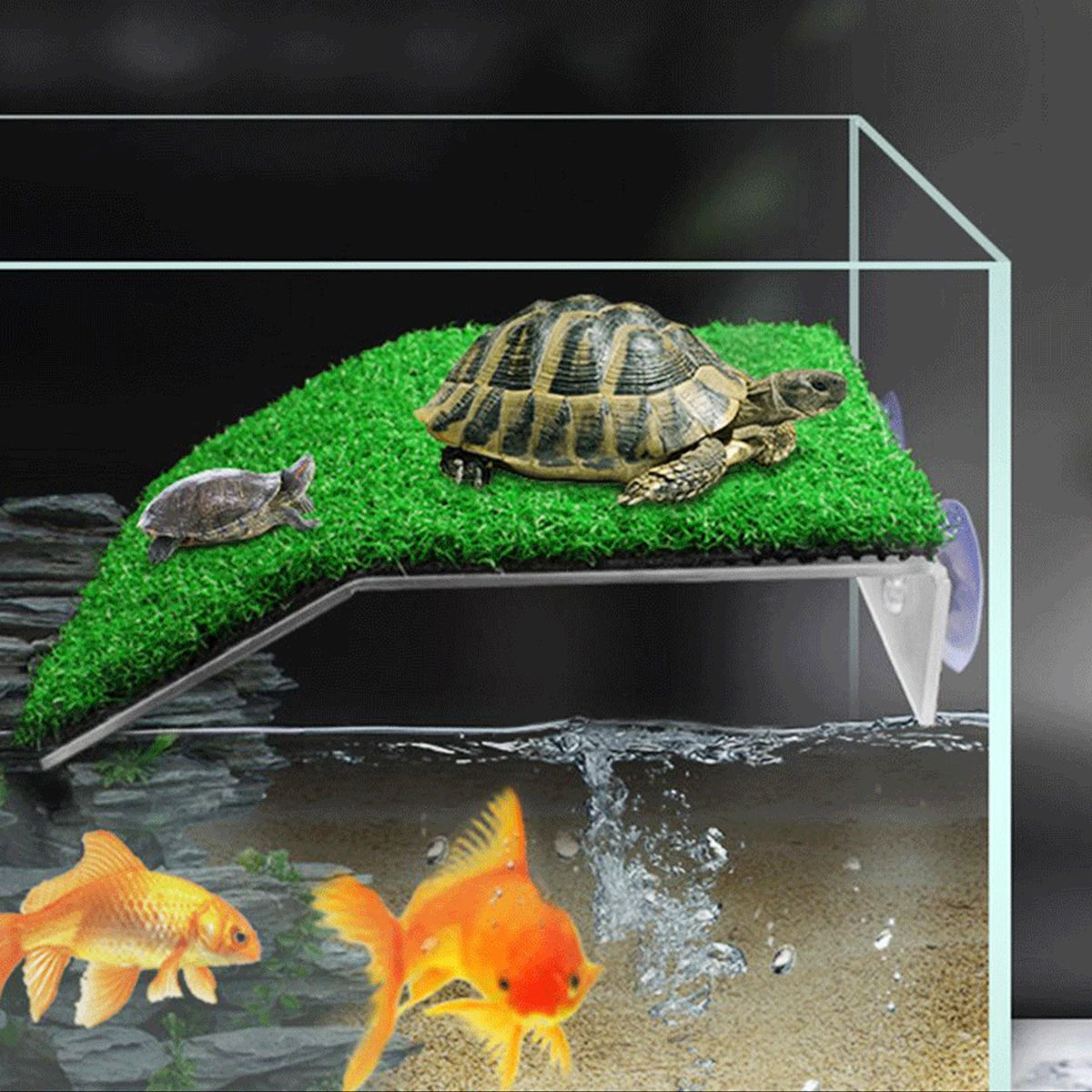 Turtle Basking Platform with Grass Ramp