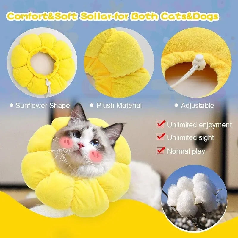 Sunflower Recovery Collar for Cats