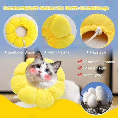 Sunflower Recovery Collar for Cats