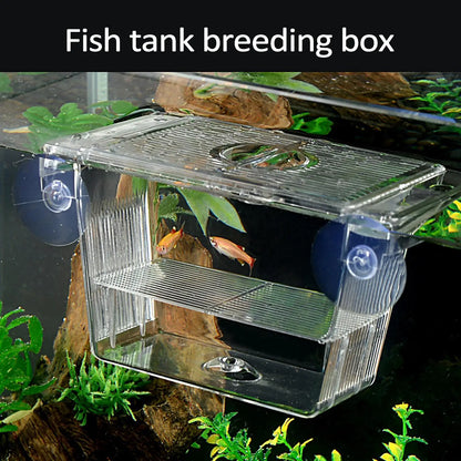 Acrylic Fish Breeding & Isolation Box for Aquariums