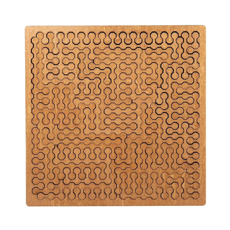 Impossible Wooden IQ Puzzle Game