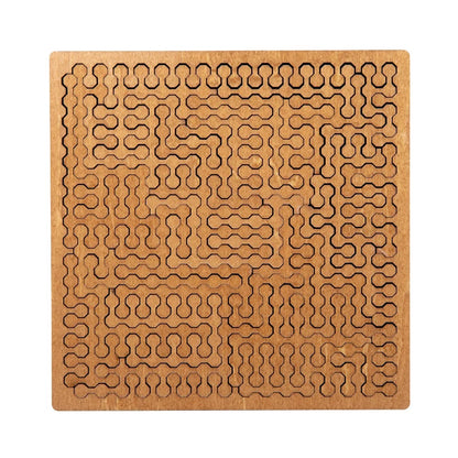 Impossible Wooden IQ Puzzle Game
