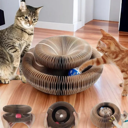 Magic Cat Scratch Ball Board Toy