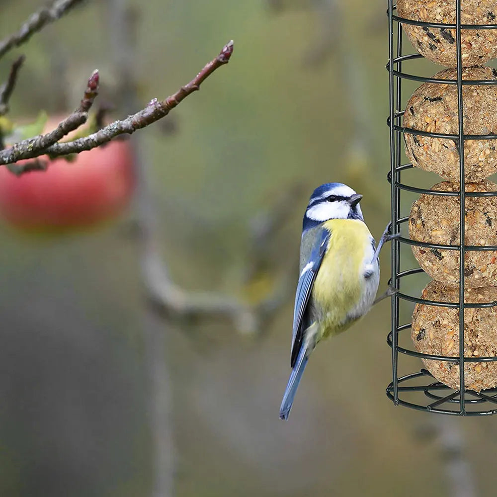 Hanging Wild Bird Feeder Set